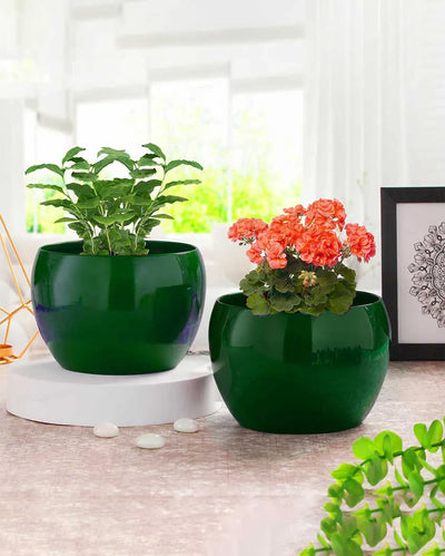 Elegant Sunshine Metallic Finished Table Top Planter | Set of 2| Plant Not Included