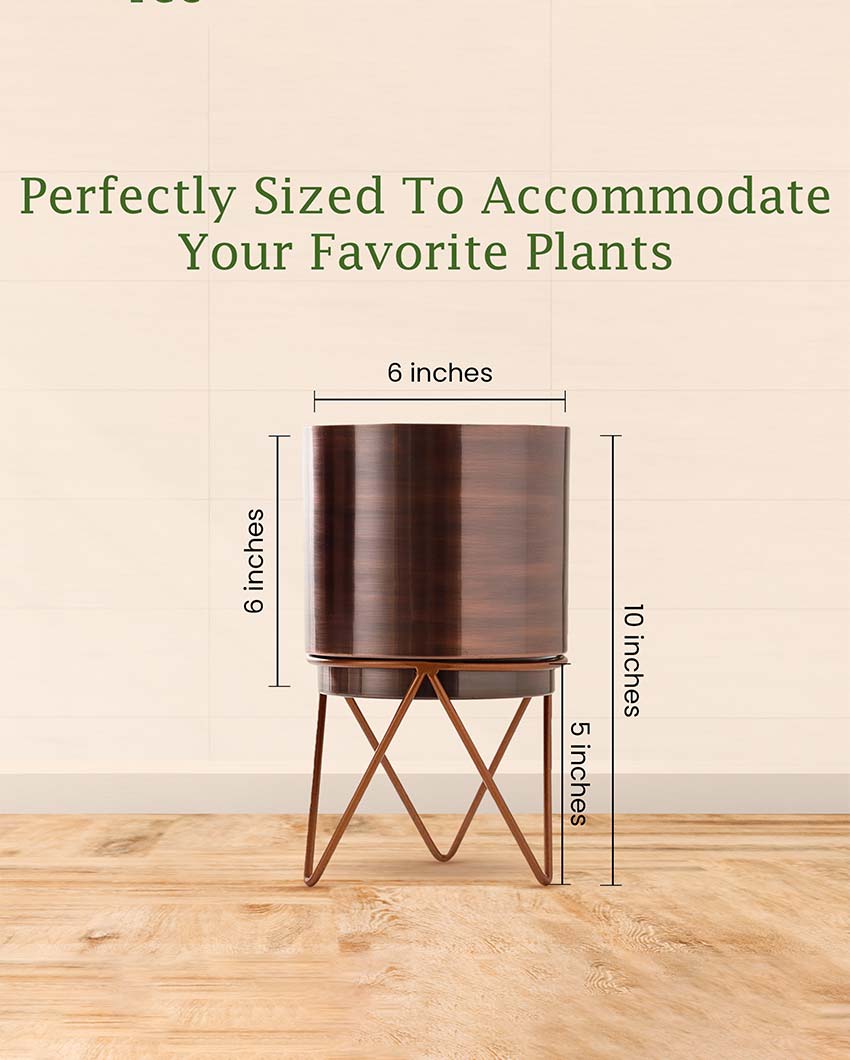 Radiant Elle Metal Planter | 6 x 10 inches | Plant not included