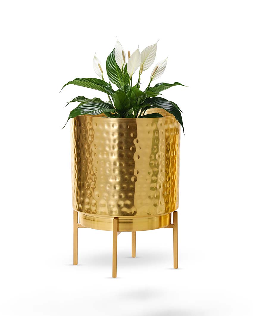 Ember Gold Hammered Metal Planter with Stand | Plant not included