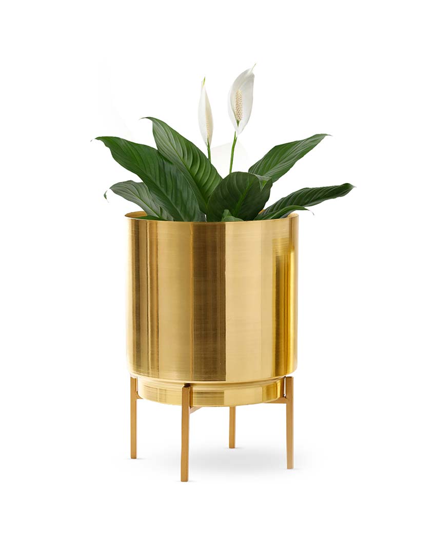 Ember Gold Metal Planter with Stand | Plant not included