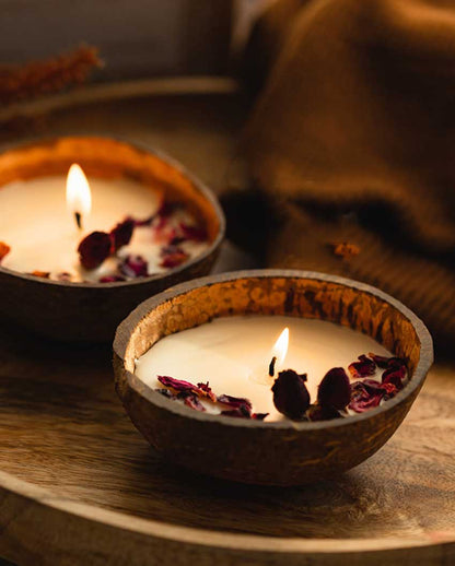 Coconut Shell Scented Soy Wax Rose Candle | 100 Gm | Set of 2 | 13.97 x 5.84 cm / 5.5 x 2.3 inches