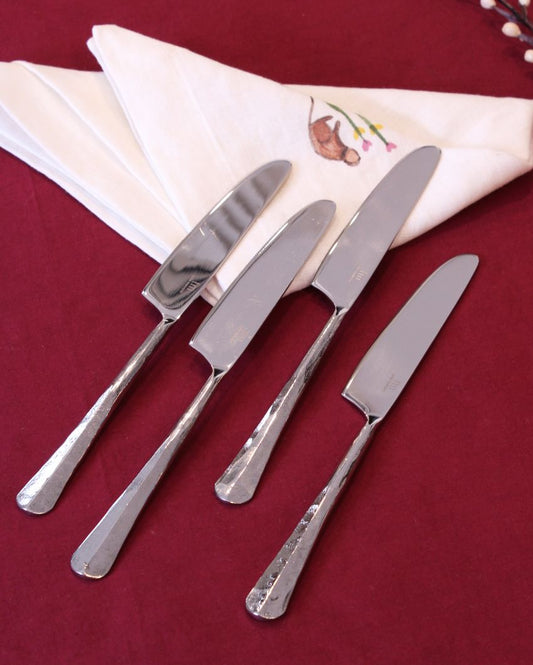 Beautiful Lining Dinner Knife | Set of 4