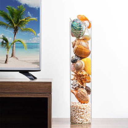 Exotic Mix Multicolor Shell Filled Glass Table Decor | 6 x 24 inches