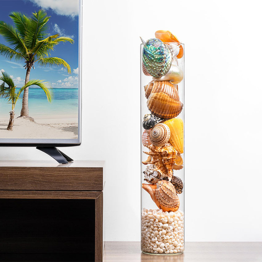 Exotic Mix Multicolor Shell Filled Glass Table Decor | 6 x 24 inches