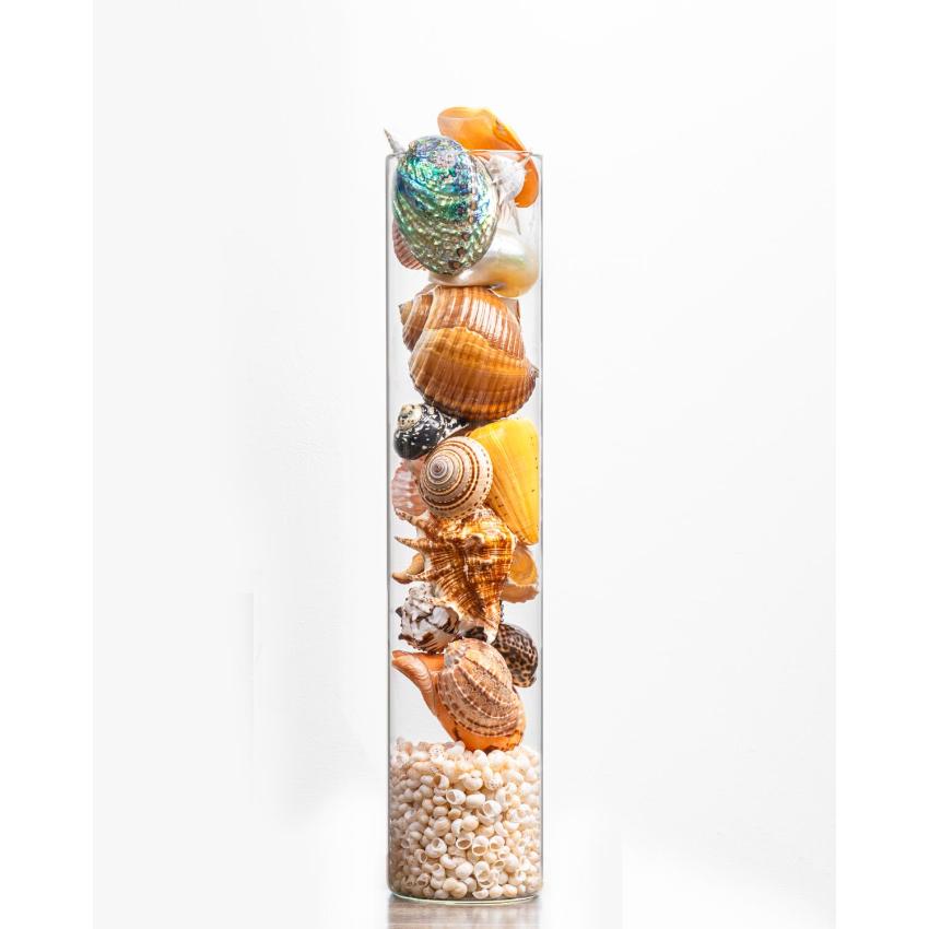 Exotic Mix Multicolor Shell Filled Glass Table Decor | 6 x 24 inches