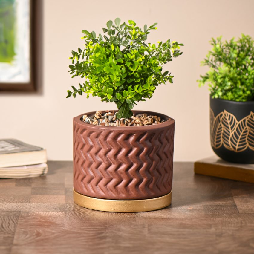 Brown Elegant Terracotta Planter With Gold Stand | 4 x 4 inches | Plant Not Included