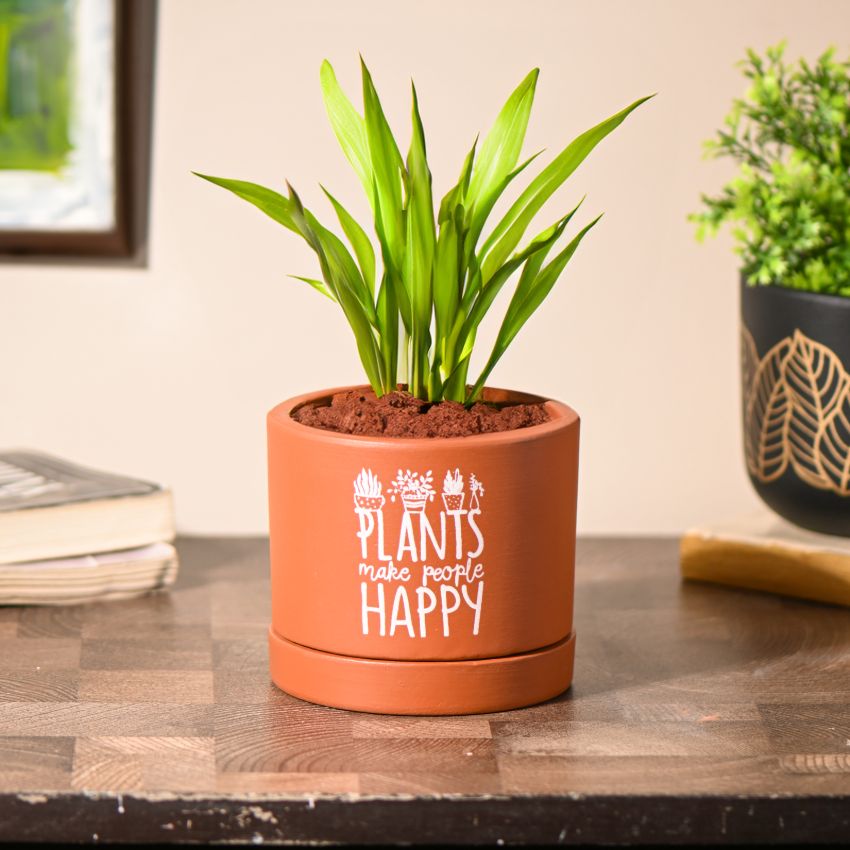 Brown Rustic Charm Terracotta Planter With Matching Stand | 4 x 4 inches | Plant Not Included