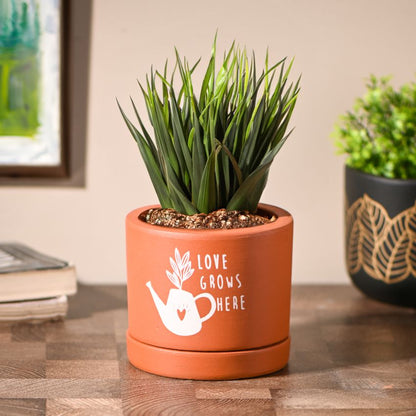 Love Grows Brown Terracotta Planter With Stand | 4 x 4 inches | Plant Not Included