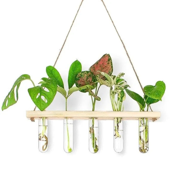 1 Tier Wall Hanging Test Tube Planter with Wooden Holder - Front View