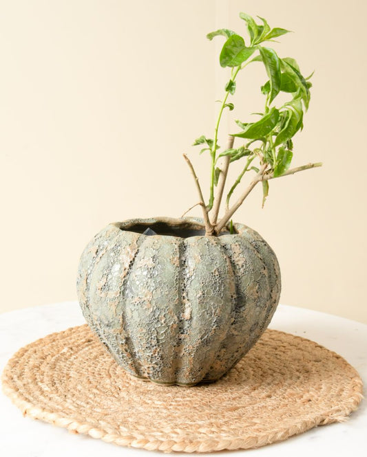 Antique Pumpkin Planter Vintage Charm for Your Garden