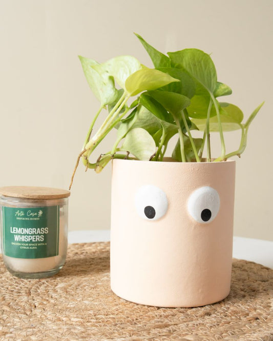 Face of Green Planter A Whimsical Touch for Your Plants