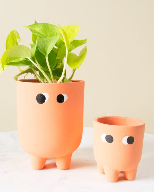 Friendly Face Pot Set Charming Planters with a Smile