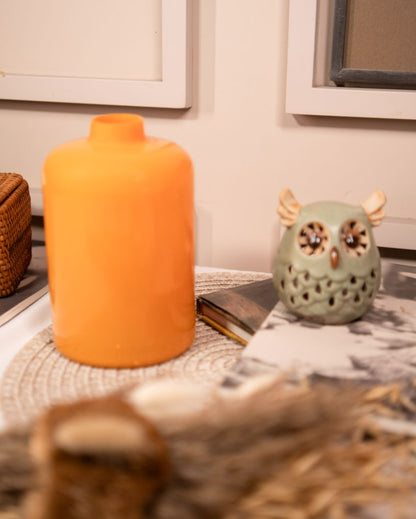 Tangerine Elegance Glass Vase with Dried Flower Bunch