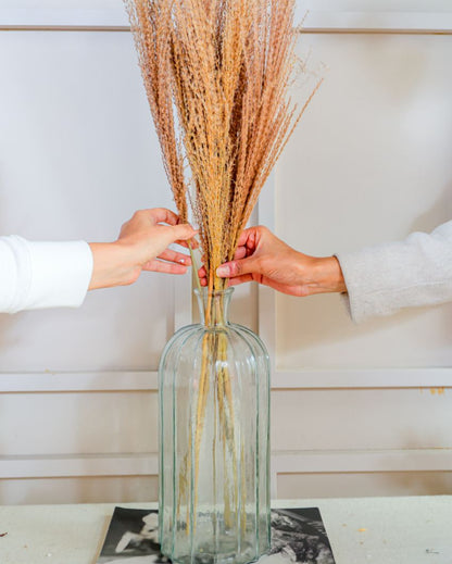 Glass Horizontal Vase