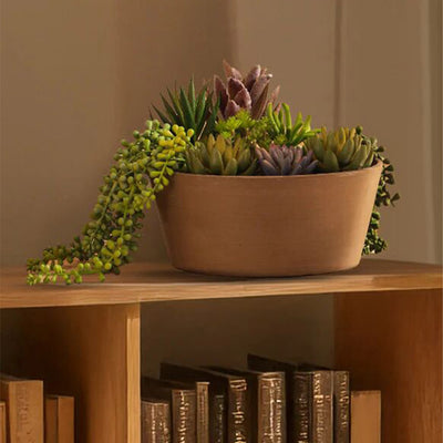 Minimalist Taupe Succulents Plants Bonsai Tray | 11 x 4 inches