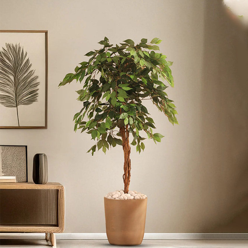 Elegant Verdant Planter Pot Without Plant | 12 x 13 inches