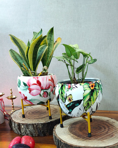 Crafted Pitalnagri Pots with Stands and Without Plants | Pack of 4 | 5 x 5 inches