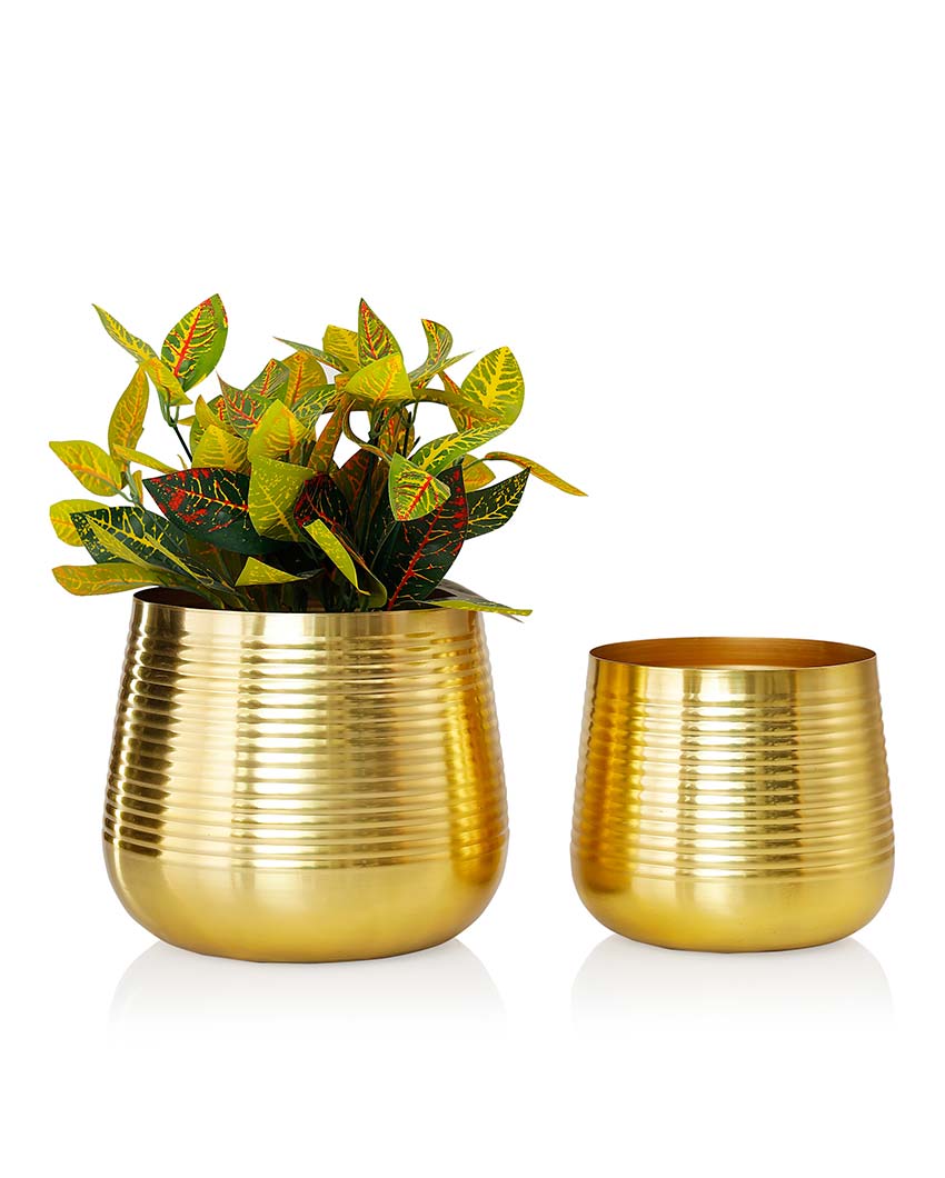 Ved Gold Metal Planters | Set Of 2 | Plant not included