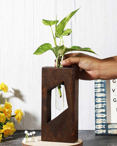 Transforming Minimal Test Tube Wood Planter | 4 x 2 x 9 inches