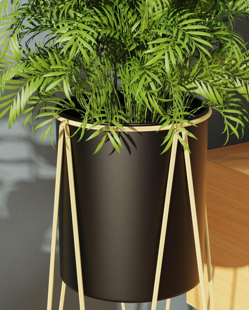 Modern CLEO Plant Pot with Stand without Plants | Set of 2