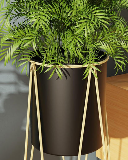 Modern CLEO Plant Pot with Stand without Plants | Set of 2