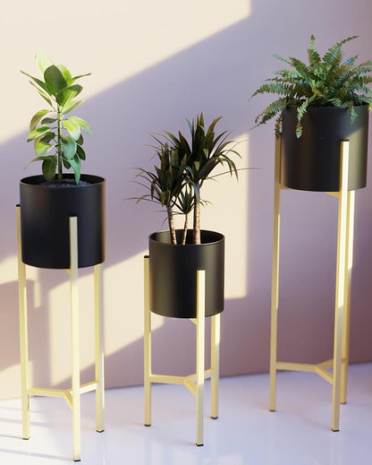 Elegant HELIOS Plant Pot with Stand without Plants | Set of 3