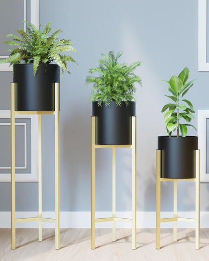 Elegant HELIOS Plant Pot with Stand without Plants | Set of 3