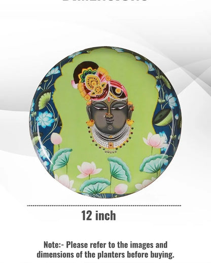 Shree Krishna Ji Wall Art Metal Plate | Dia 12 Inches