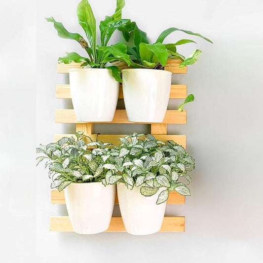 Small Wooden Hanging Wall Frame Planter Default Title