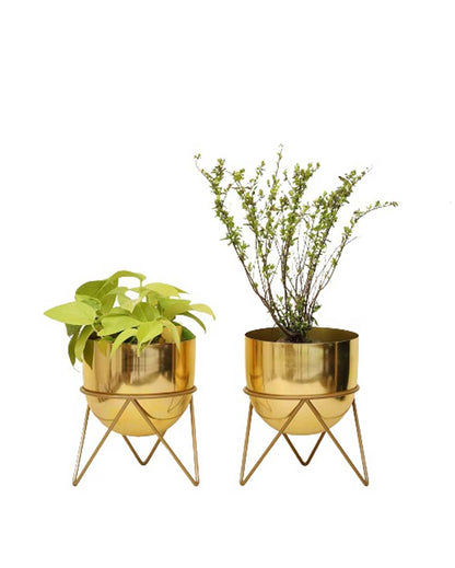 Zig Zag Design Metal Planters with Stands | Set Of 2 | 6 x 8 inches | Plant not included