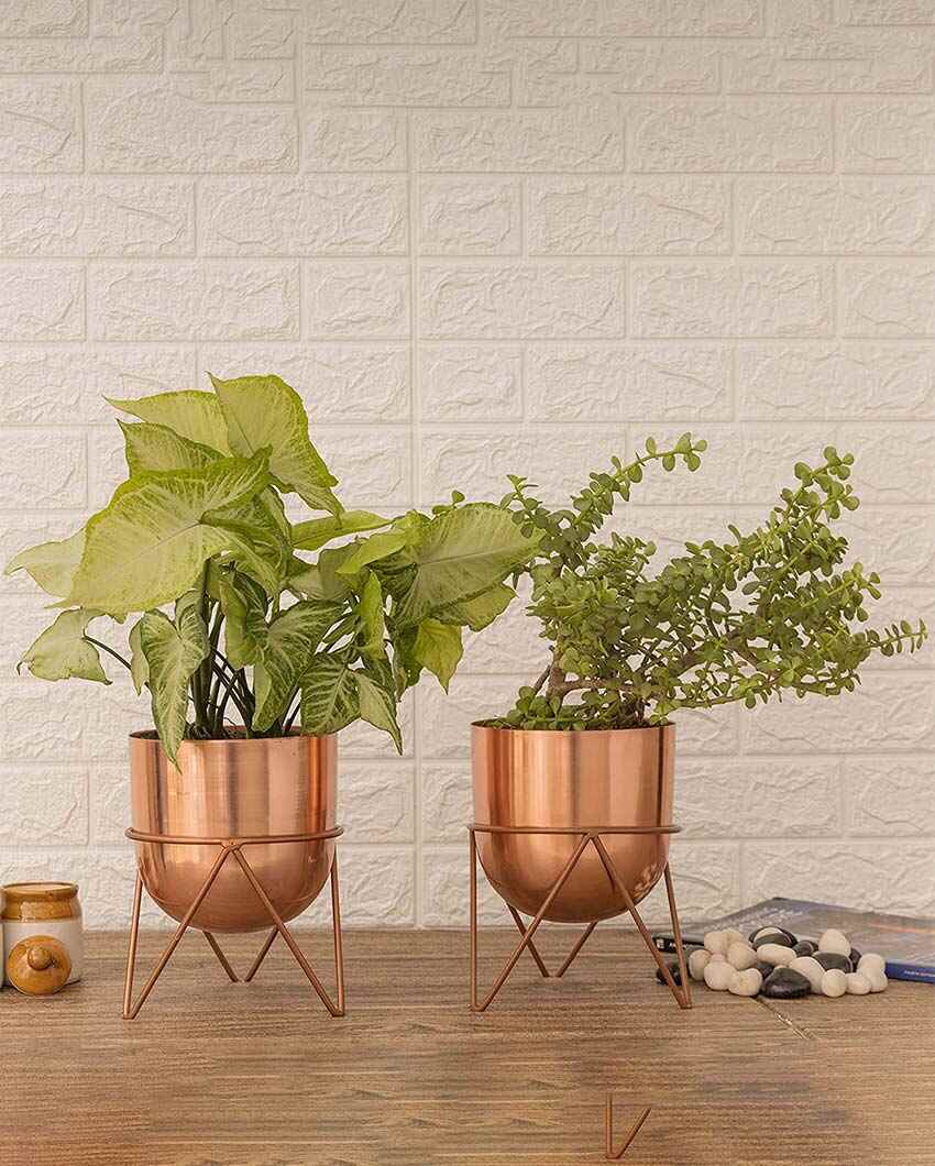 Zig Zag Design Metal Planters with Stands | Set Of 2 | 6 x 8 inches | Plant not included