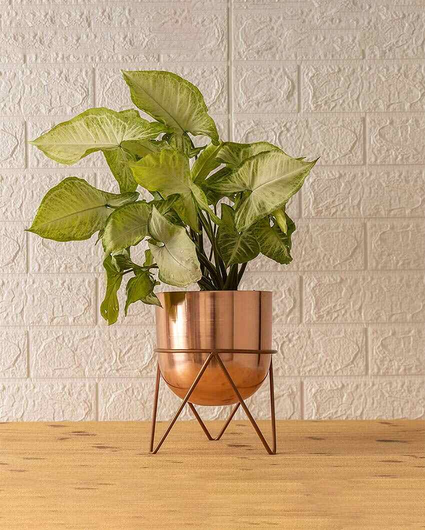 Zig Zag Style Metal Planter with Stand | 6 x 8 inches | Plant not included