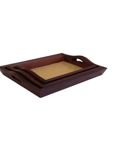 Brown Brass Fitted Wooden Trays | Set Of 3