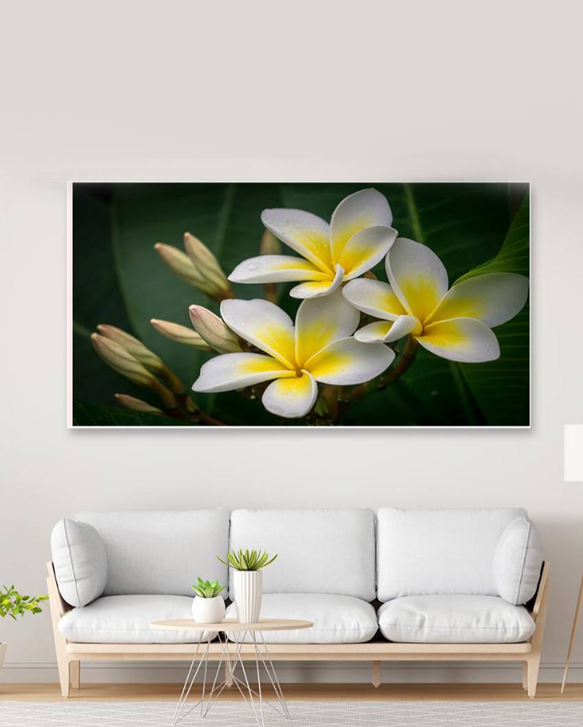 Yellow and White Plumeria Flowers Floating Frame Wall Painting 24x12 inches