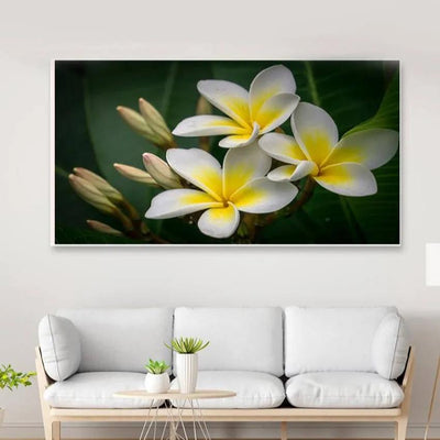 Yellow and White Plumeria Flowers Floating Frame Wall Painting 24x12 inches