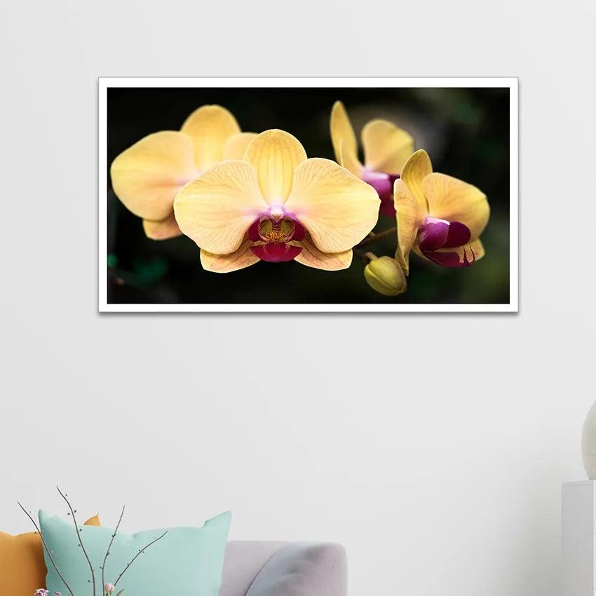 Blooming Yellow Orchid Canvas Wall Painting