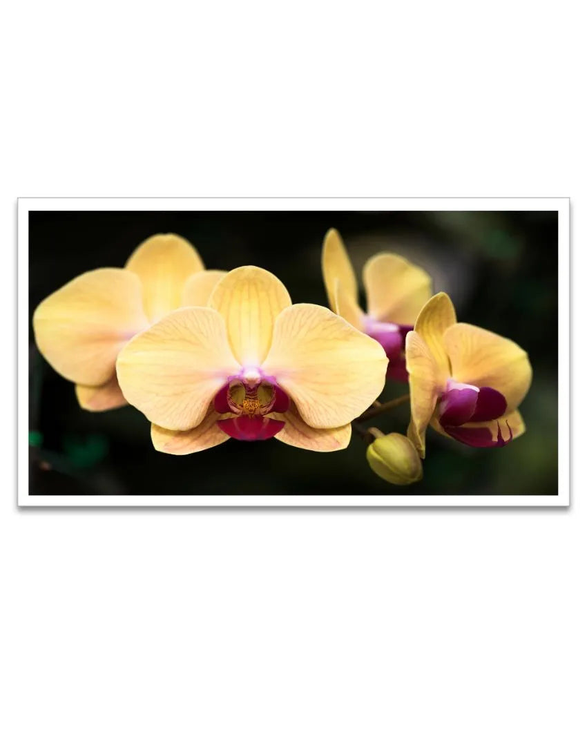 Blooming Yellow Orchid Canvas Wall Painting