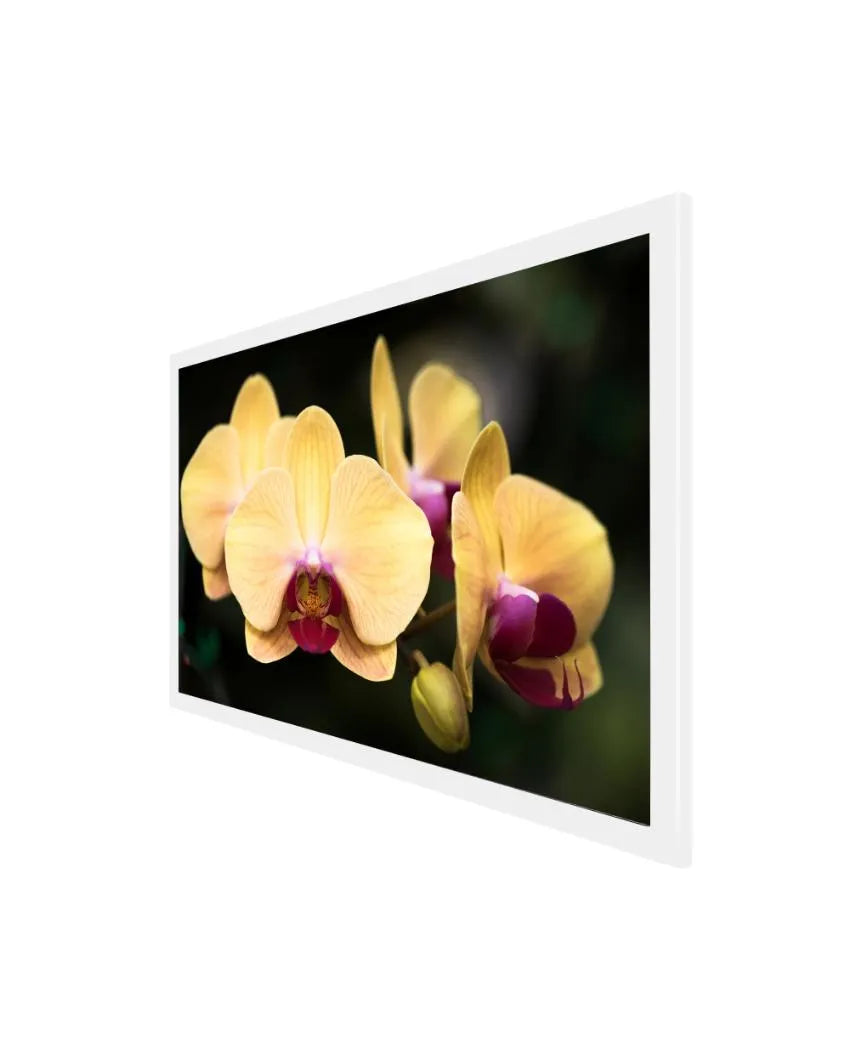 Blooming Yellow Orchid Canvas Wall Painting