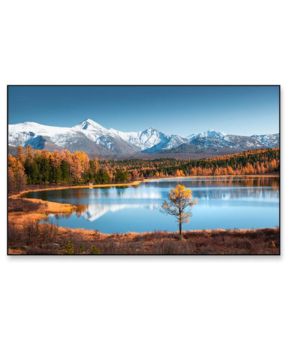 Beautiful Forest Landscape Floating Frame Canvas Wall Painting