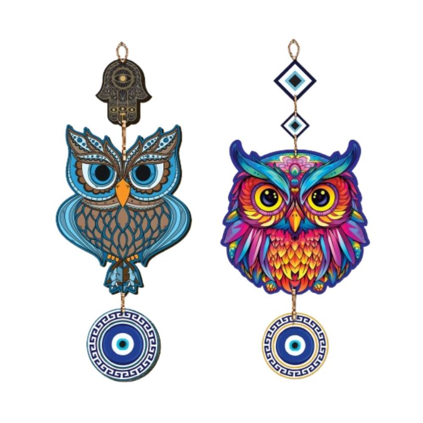 Eye Catchy Multicolor Mdf Owl Wall Hangings | Set Of 2