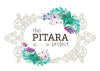 The Pitara Project - Dusaan