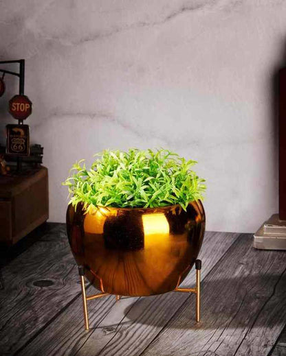 Bowl Shape Metal Planter Stand |15 x 12 cm/ 6 x 5 inches