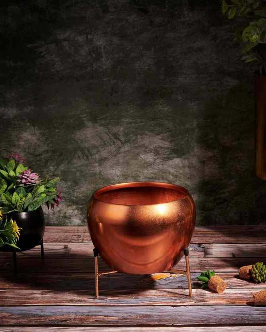 Bowl Shape Metal Planter Stand |15 x 12 cm/ 6 x 5 inches