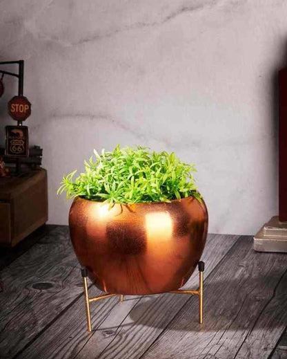 Bowl Shape Metal Planter Stand |15 x 12 cm/ 6 x 5 inches