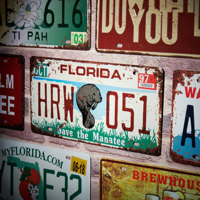 Florida Hrw 051 Number Plates Wall Sign | 6 x 1 x 12 inches