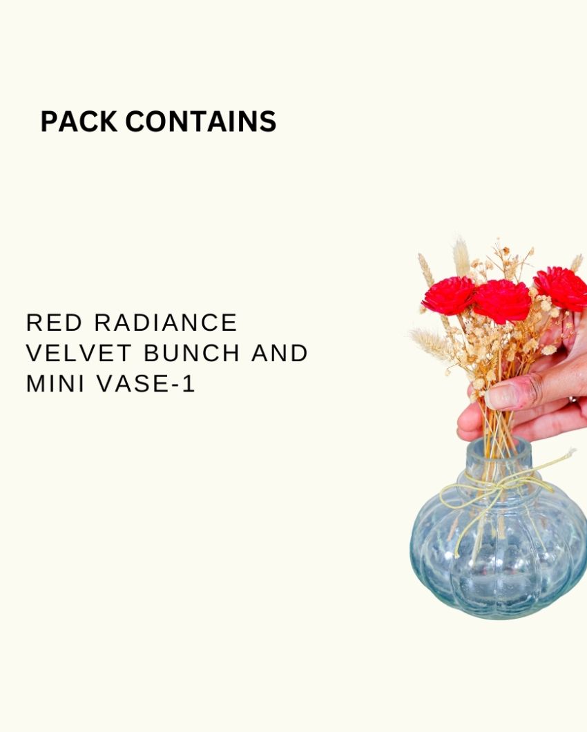 Red Radiance Velvet Bunch With Mini Vase