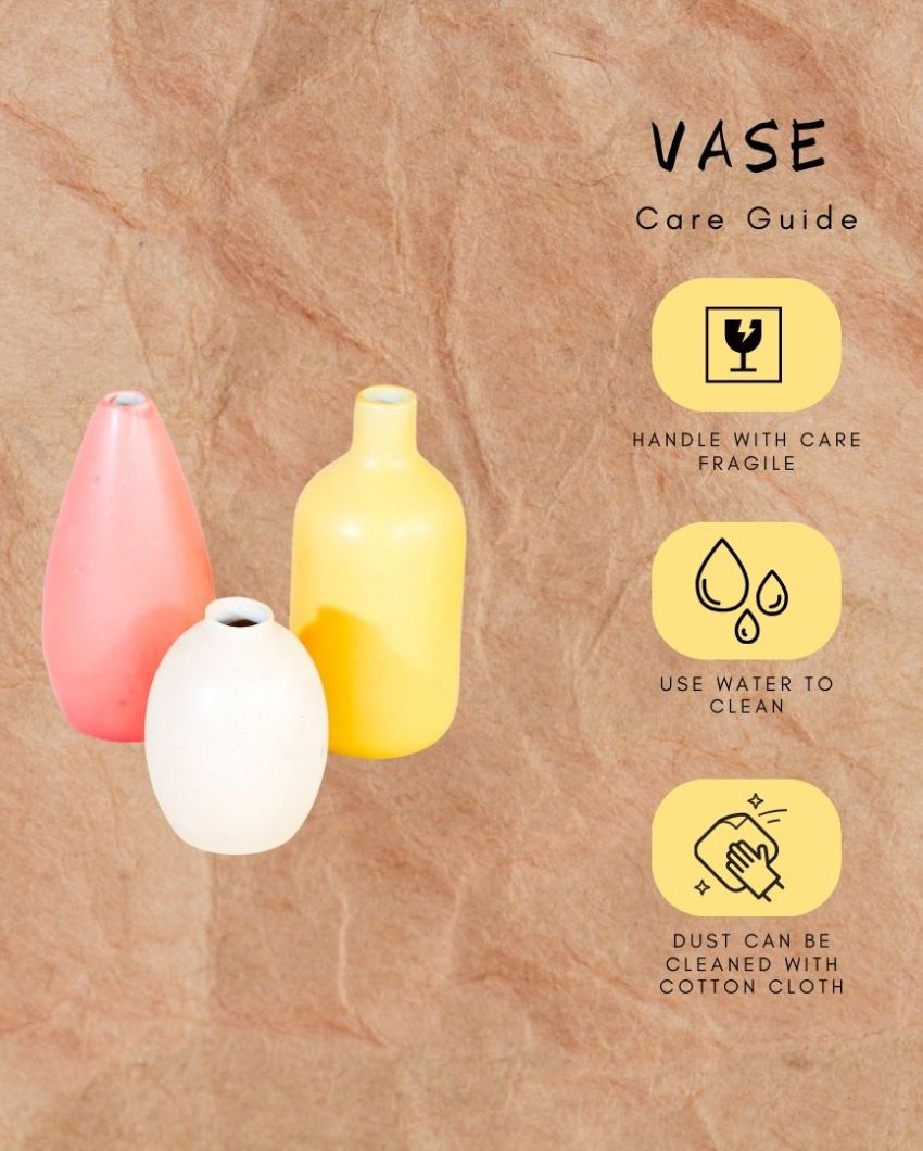 Earthy Essential Vase | Set Of 3