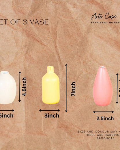 Earthy Essential Vase | Set Of 3