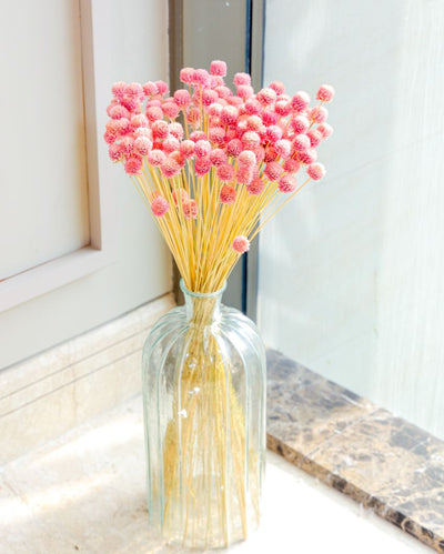 Dark Pink Gomphera With Crystal Glass Vase