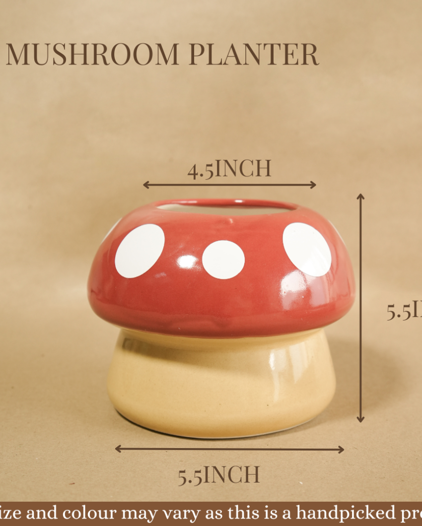 Mushroom Planter